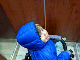 GIF
