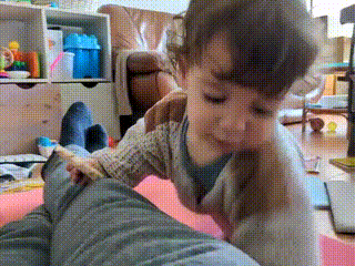 GIF