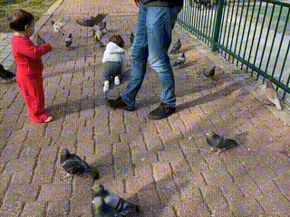 GIF