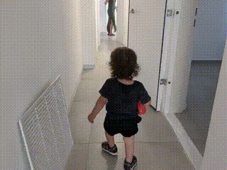 GIF