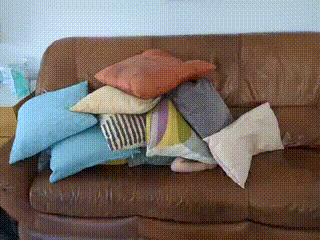 GIF