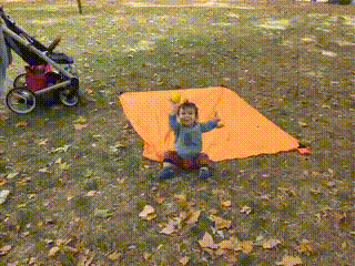 GIF