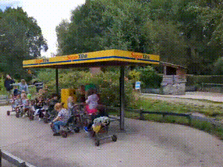 GIF